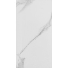 Плитка керамічна КАЛАКАТА GR 295х595 ректиф. 19223 Україна