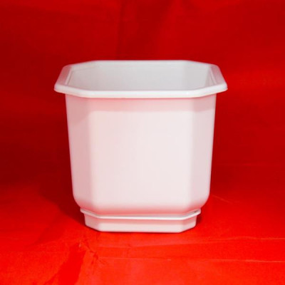 Підвазонник Дама 12х12см Україна