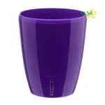 Підвазонник для орхідей TVIN 2л 79840 Україна