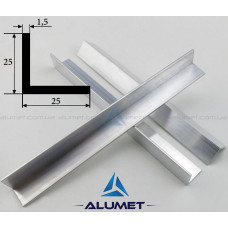 Кутник алюм 3м 25х25х2 ПАС-1363 AS 19578