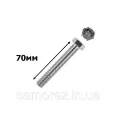 Болт з 6-гран головкою 6х70 318002