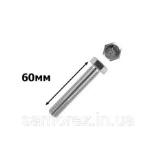 Болт з 6-гран головкою 8х60 31872