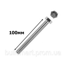 Болт з 6-гран головкою 8х100