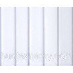 Вагонка 10см білий мат (за м2)