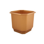 Підвазонник Дама 16х16 Україна