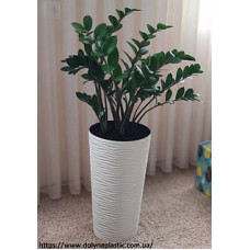 Підвазонник високий Фюжен 22х41,5 15123