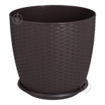 Підвазонник Ротанг Алеана 20см 151398 Україна