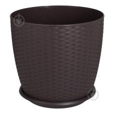 Підвазонник Ротанг Алеана 20см 151398 Україна