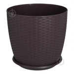 Підвазонник Ротанг Алеана 24см 151391 Україна