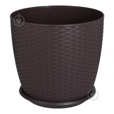 Підвазонник Ротанг Алеана 24см 151391 Україна