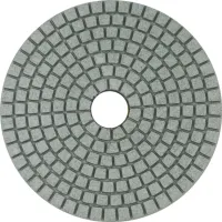 Круг полірув. алмазний100мм №30 WERK 390317