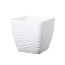 Підвазонник Сахара Петті 13см квадрат