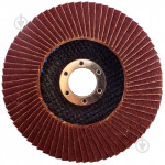 Диск шліфувальний лепестковий WERK P100 39824