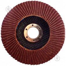 Диск шліфувальний лепестковий WERK P100 39824