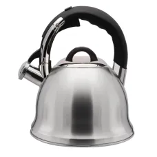 Чайник нерж ZB18/3,5B 152507 Україна