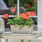 Кашпо балкон Сахара 50см 1500107 Україна