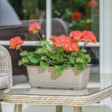 Кашпо балкон Сахара 50см 1500107 Україна