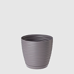 Підвазонник Сахара Петті 11см 29024