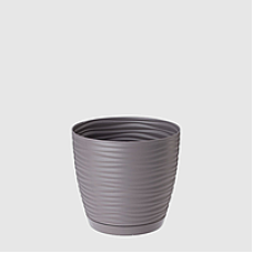 Підвазонник Сахара Петті 11см 29024