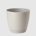 Підвазонник Сахара Петті 23см колор 159500 Україна