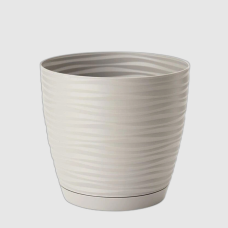 Підвазонник Сахара Петті 23см колор 159500 Україна