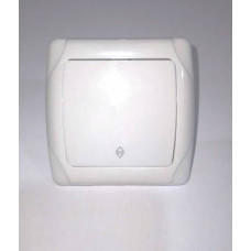 Вимикач врізний одинарний з індикатором Q-MAX 10А 301