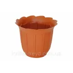 Підвазонник д240см Лаура Ламела Україна