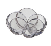 Друшляки і сита