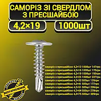 Саморіз ПШ 4,2х19 31899