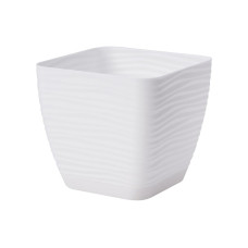 Підвазонник Сахара Петті 19см колор квадрат 1500003 Україна