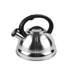 Чайник нерж Маестро MS-1313 3л. 15284