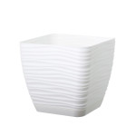 Підвазонник Сахара Петіт 15см квадрат 27833