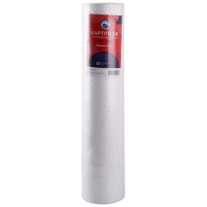 Катридж з поліропілен (великий) Біосістем PP-20L 10мк 23805