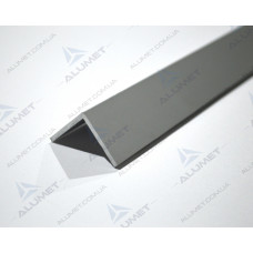 Кутник алюм 3м 25х25х2 ПАС-1363 AS 19578
