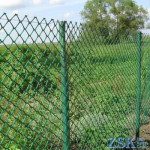 Сітка рабиця 1,2м 50х50х2,5мм ПВХ покр. оцинк 10м