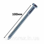 Шуруп по дереву з 6-гран голівкою 6х100