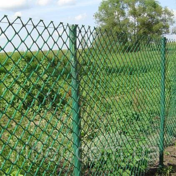 Сітка рабиця 1,2м 50х50х2,5мм ПВХ покр. оцинк 10м