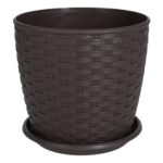 Підвазонник Ротанг Алеана 16х16см високий 151392 Україна