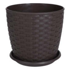 Підвазонник Ротанг Алеана 16х16см високий 151392 Україна