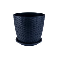 Підвазонник Ротанг Алеана 30см 151399 Україна